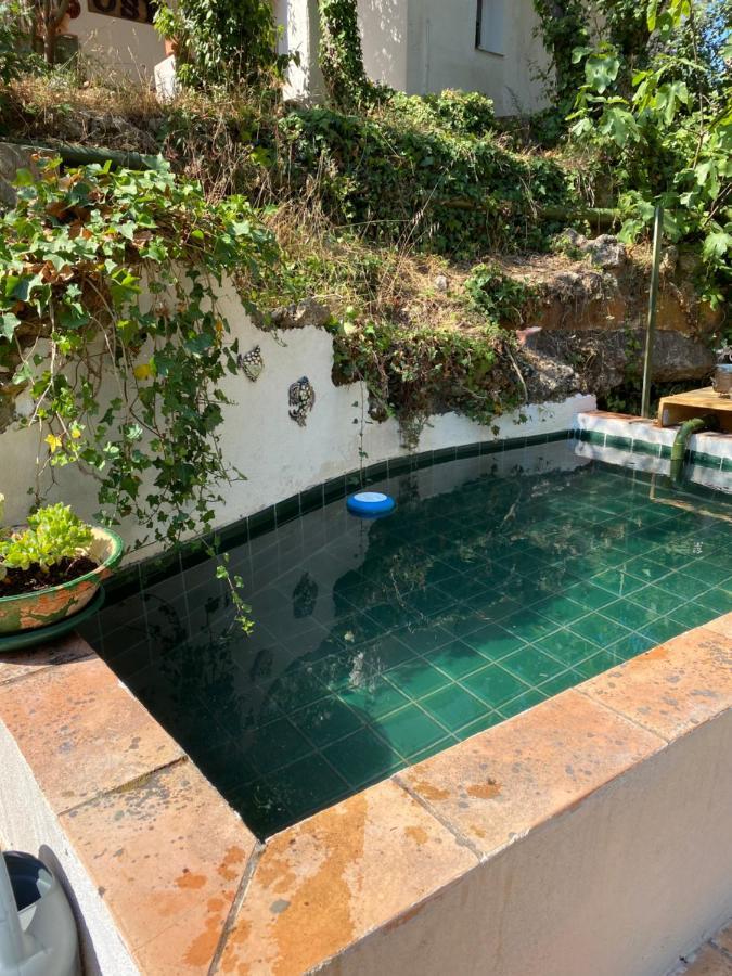 La Mahasiah Villa Puget-sur-Argens Dış mekan fotoğraf